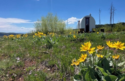 Casper House | Hand-Crafted Sheep Wagon ~ Luxuriously Rustic ~ Private Meadow Site
