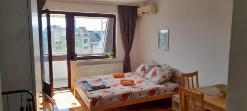 Novi Sad Apartment | Hann Apartments