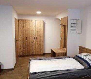 Waizenkirchen Apartment | Hansmayrgut
