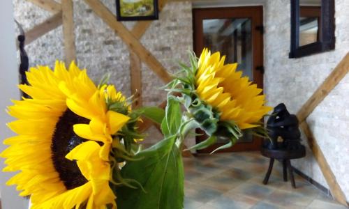 Oradea Hotel | Hanul Cappsha