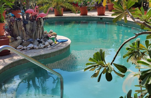 Punto de Oro Resort | Happy Days, accommodation, Aruba, apartment, cozyfamily and pet friendly