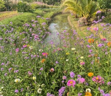 Wang Katha House | Happy Farm Home stay Khaoyai