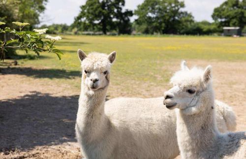 Emsworth House | Harbour Ranch Hut - Rustic Countryside Escape