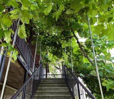 Getahovit House | Harmony Guest House