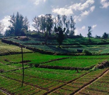 Kandal House | Harvest Hill View Cottage