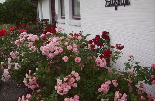 Dagebuell Apartment | Haus Halligblick, Ferienwohnung Oland