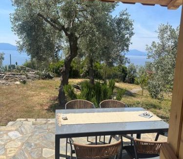 Afissos House | Haus im Olivenhain direkt am Meer