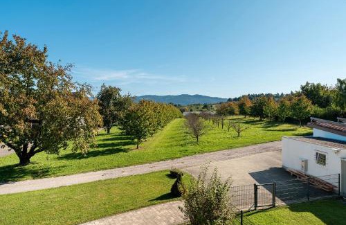 Oberkirch House | Haus Langer