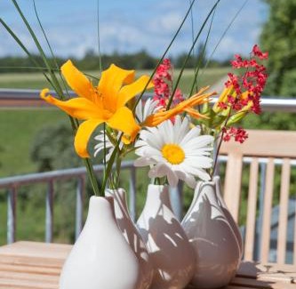 Emmingen-Liptingen Apartment | Haus Lina