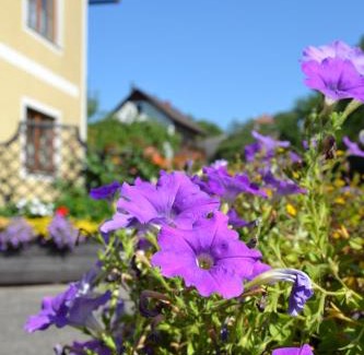 Emmersdorf an der Donau Apartment | Haus Lindenhofer
