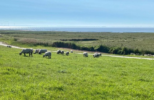 Sehestedt House | Haus MeerAuszeit - Erholung an der Nordsee