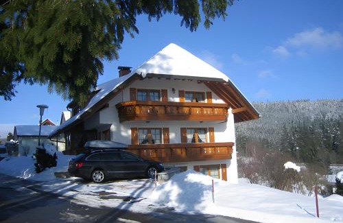 Schluchsee Apartment | Haus Waldvogel