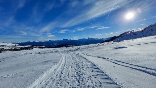 Albions Apartment | HAUSERHOF CHALET in Villanders - moderne Wohnungen mit 2 Badezimmer und 2 Schlafzimmer
