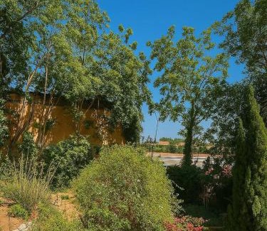 Tlemcen Apartment | Havre de Khadouja