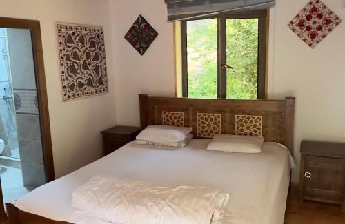 Uzbekistan House | Hayat guesthouse nuratau mountain