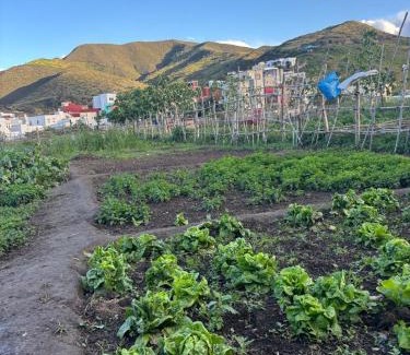 Tizgane House | Heart of Targha