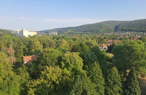 Hamor Apartment | Hegyalja Apartman