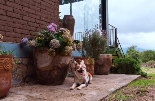 Tapalpa House | Hermosa cabaña de descanso en Tlapalpa