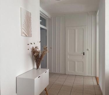 La Chaux-de-Fonds Apartment | Heure Cosy
