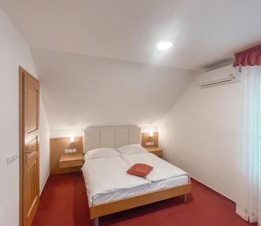 Kranj House | Hiša Aleš
