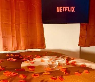Montargis Apartment | Hibiscus - Balnéo - Netflix & Chill