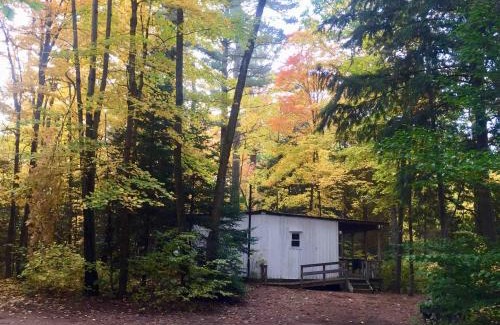 Bracebridge Resort | High Falls Bay Cottages, Camping & Waterpark