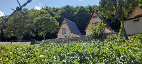 Savnik Ski Chalet | Highland Cabins Krnja Jela