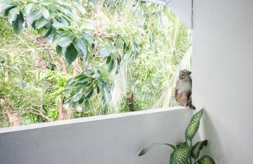 Morong Apartment | HILLSIDE Nest Townhouse in Subic Bay with Self-Serve Breakfast- Full AC, Monkeys, Pet Friendly with a Fee