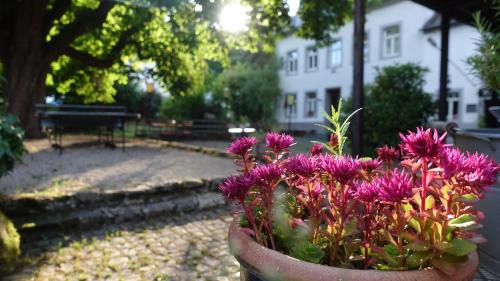 Korperich Apartment | Hinkelshof - als Ferienwohnung - Selbstversorgerküche & Aufenthaltsräume - Südeifel, Mullerthal, Vianden