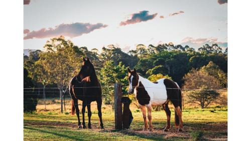 Myocum House | Hinterland Hideout by Tiny Away
