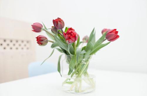 Haarlemmerbuurt Apartment | hip & stylish apartment in center, near trainstation, 15 min walk