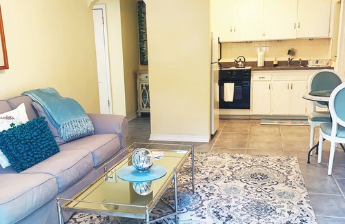 Historic Hyde Park North Apartment | Historic Hyde Park with Private Courtyard