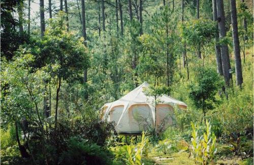 Lac Duong Cabin | Hodota Ankroet Resort & Camping
