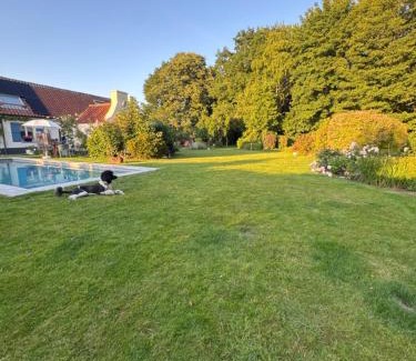 Oudenburg Villa | Hoeve Pino, Verwarmd zwembad