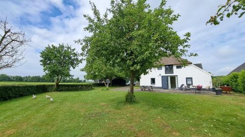 Markelo Bed & Breakfast | Hoeve Zandbelt