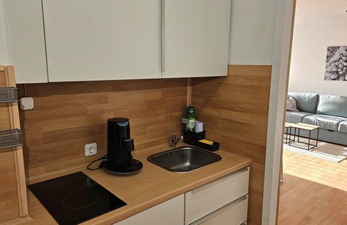 Schoenwald Apartment | Holiday Apartment SCHANZENBLICK with Sauna & Pool