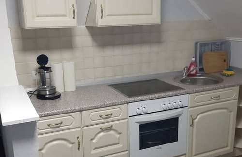 Goßnitz Apartment | holiday apartment/apt. for 2 guests with 41m² in Gößnitz (164623)