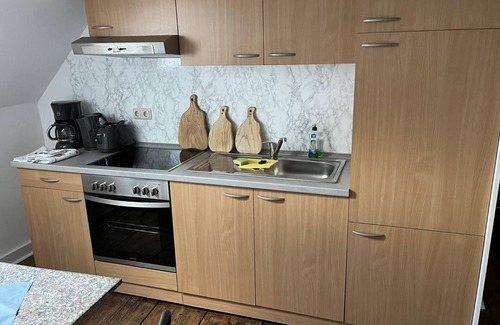 Wurzbach Apartment | Holiday Apartment in the Former Manor 'Sormitzblick' with Garden and Wi-Fi