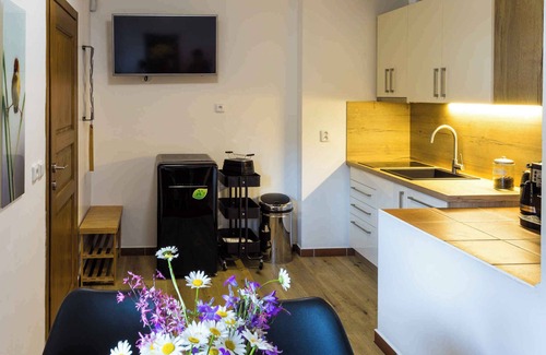 Harrachov Apartment | Holiday apartment with luxurious equipment