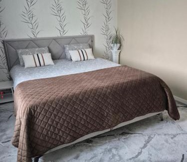 Druskininkai Apartment | Holiday Apartments 10
