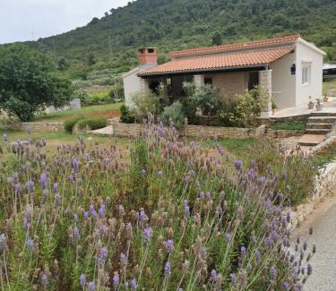 Cove Rogacic House | Holiday Home Cvitka