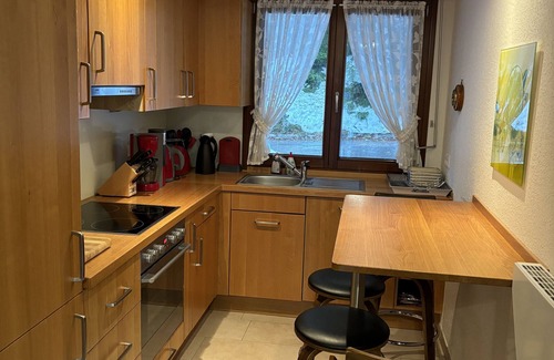 Todtmoos House | Holiday Home 'Fichte' with Private Terrace, Private Garden and Wi-Fi