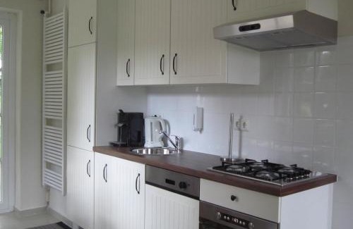 Spijk House | Holiday Home in Spijk with Meadow Views