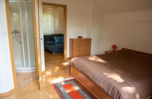 Kranj House | Holiday Home Lemut