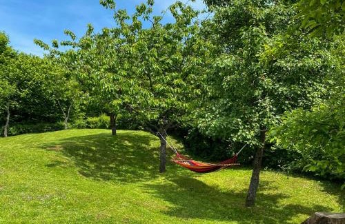 Brod Moravice House | Holiday Home Maklen by Interhome