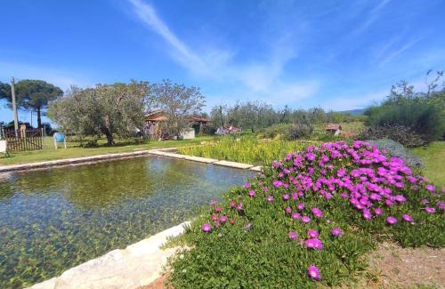 Roccastrada House | Holiday Home Nord by Interhome