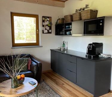 Birzgale House | Holiday home Slokas