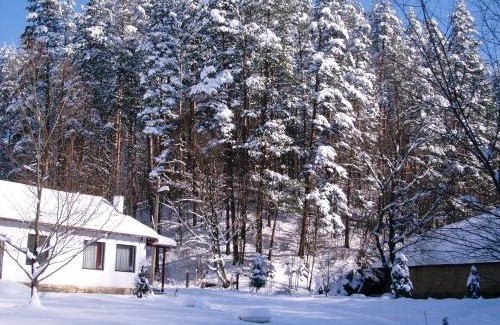 Tryavna House | Holiday Home Tanevi