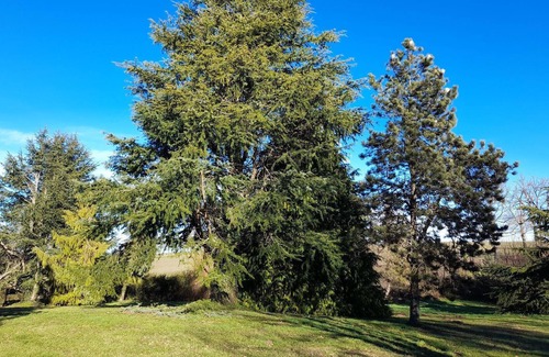 Ars-les-Favets House | Holiday house Ars les Favets for 1 - 8 persons with 3 bedrooms - Holiday house