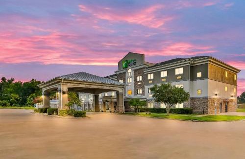 Palestine Hotel | Holiday Inn Express Palestine by IHG